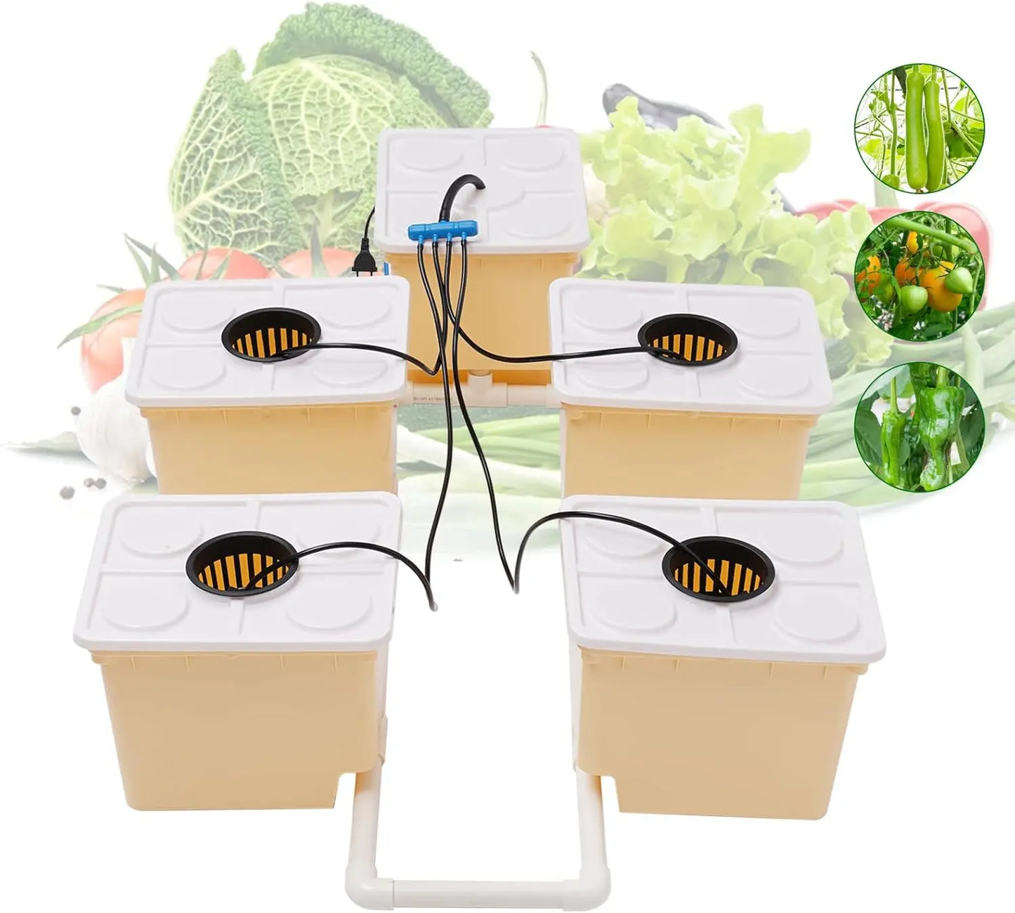 Deep Water Culture Hydroponics System Grow Kit