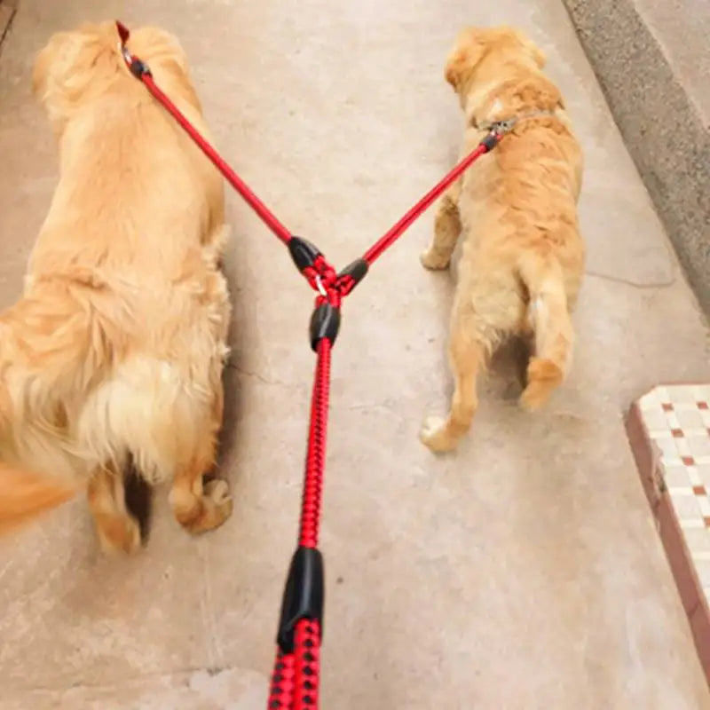 Double Dog Leash 2 Way Couplers