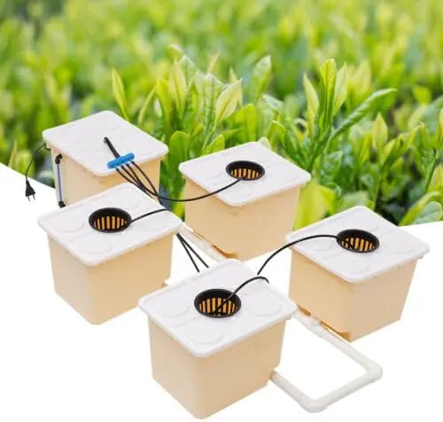 Deep Water Culture Hydroponics System Grow Kit