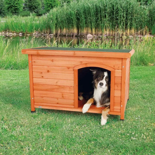 Dog House Glazed Pine